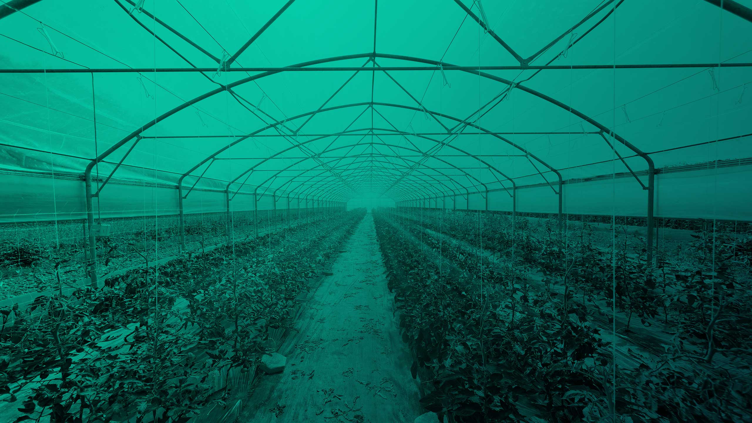 genesis digital assets greenhouse farm